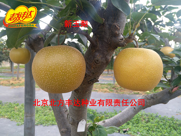 �������������ҵ���޹�˾